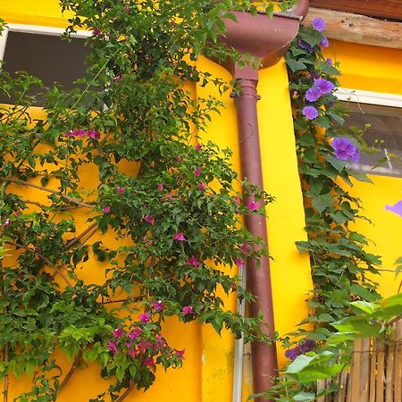 La Maison Jaune Sète Rum bild